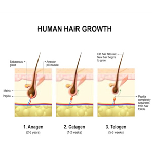 real grow hair oil